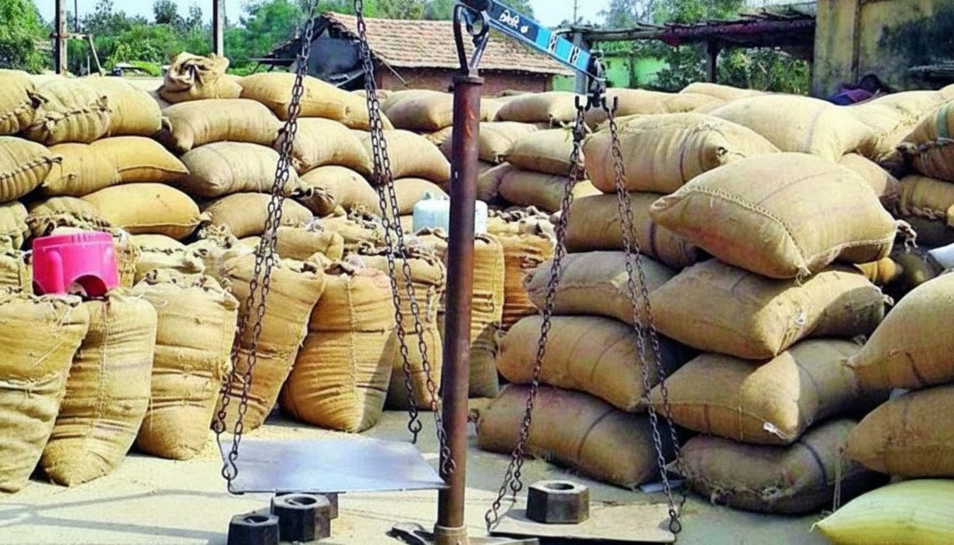 17690212311037E2 धान खरीदी केंद्रों के सत्यापन में लापरवाही, नोडल अधिकारी को नोटिस
