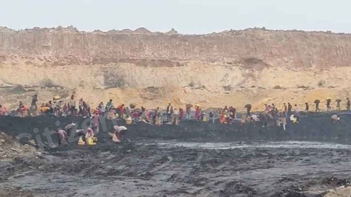 1001540823 अमेरा खदान में कोयला चोरी का बड़ा खेल? वायरल वीडियो ने खोली पोल